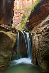 Waterfall in Zion National Park