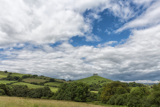Colmers Hill a well known landmark in West Dorset, England.
