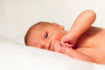 The newborn girl looks in the frame