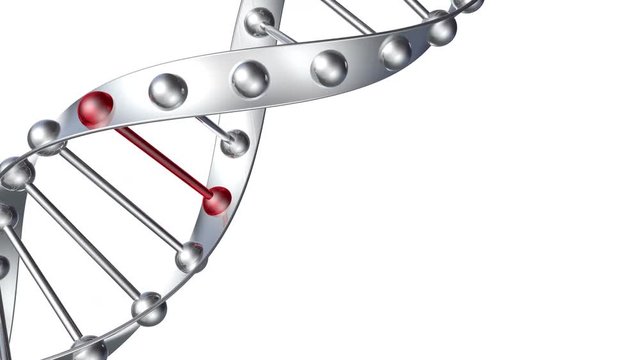 The structure of the looped DNA rotates on white isolated background. There is an empty seat for Your advertising, text, image or video. Video in 4K quality