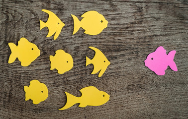 Group of fish with one pointed against the flow on wooden background