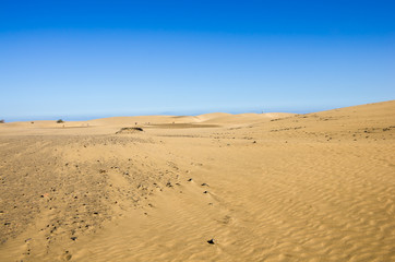 Dunes of Maspalomas