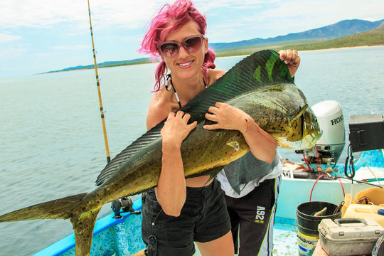Young fisherwoman on a boat in her arms a big fish Dorado 15 lb, Baja de los Muertos, California Sur, Mexico, America.