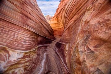 Landscape of the Wave, Coyote Buttes North
