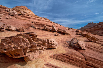 Landscape of the Wave, Coyote Buttes North