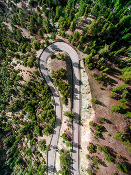 Road bending through trees, view from above