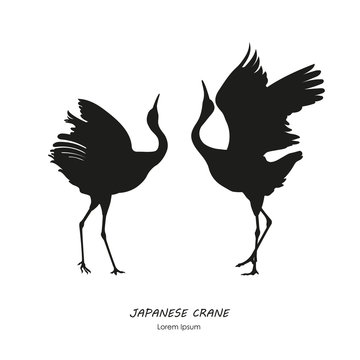 Silhouette of the two dancing Japanese crane on a white backgrou