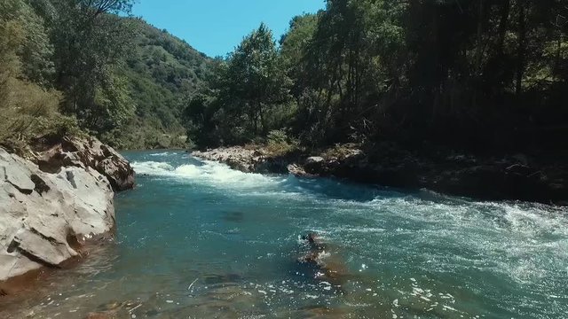 The grande Nive river, Bidarray