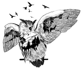 Obraz premium Hand drawn owl for your design, wildlife concept