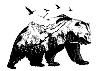Obraz premium Ręcznie rysowane niedźwiedź do projektowania, koncepcja przyrody