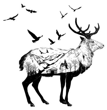 Hand drawn Deer for your design, wildlife concept