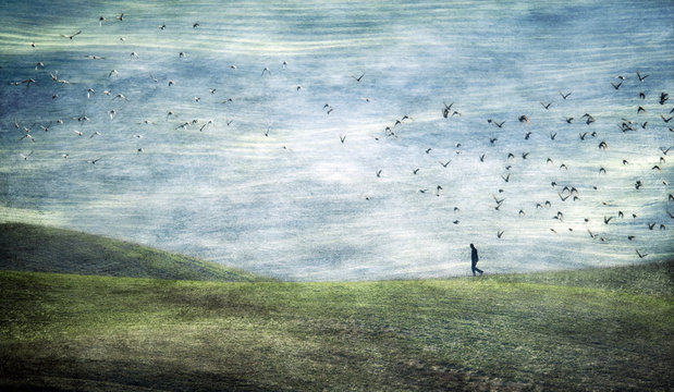 Abstract image of person on rolling landscape and flock of birds