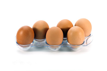 Six eggs in a plastic egg tray