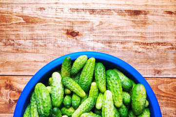 The image of fresh cucumber on a wooden table