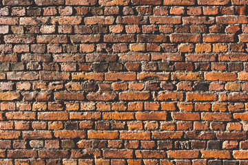 Brickwall texture background