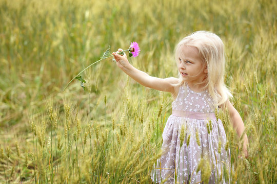 Cute little blond girl holding flower in summer field