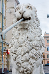 Lions on Lion bridge in St. Petersburg