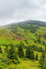 Picturesque Carpathian mountains landscape. Chornogora ridge, Ukraine, Europe.