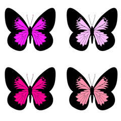 Obraz na płótnie Canvas color butterflies,isolated on a white
