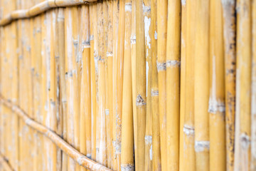 old bamboo texture wall background