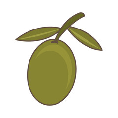 olive seeds plant icon