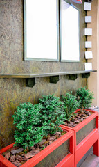 Beautiful showcase with hedges. Posters  with lamps on concrete wall.
