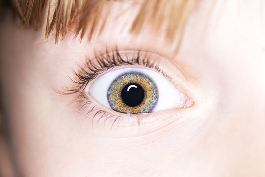 A beautiful insightful look colored boy's eye