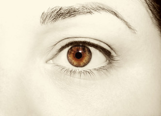 Beautiful insightful look vintage  woman's eyes