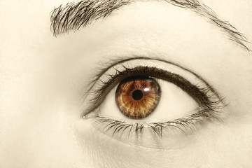 Beautiful insightful look vintage woman's eyes