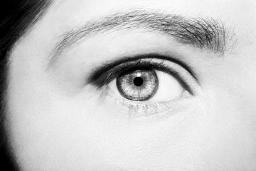 Beautiful insightful look woman's eye