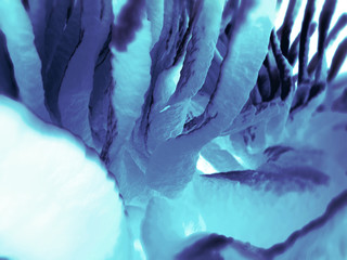Obraz premium Organism microbiology cell abstract. 3D illustration