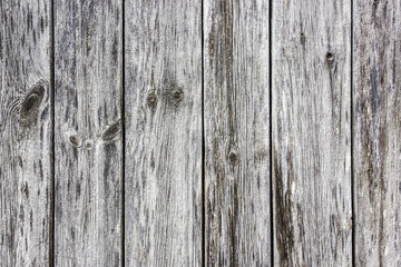 Gray wooden wall background.

