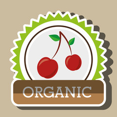 organic food fruit icon