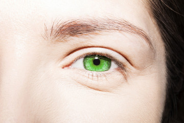 Beautiful insightful look green woman's eye
