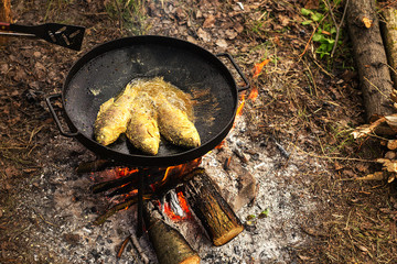 fried fish on the big pan