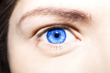 Obraz premium Beautiful insightful look blue woman's eye