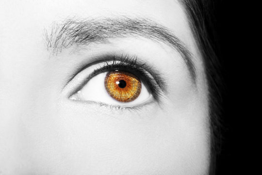 Beautiful insightful look brown woman's eye