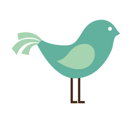 cute bird animal isolated