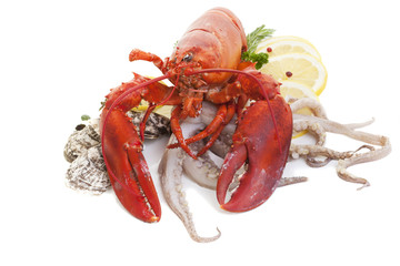 Lobster And Calamari