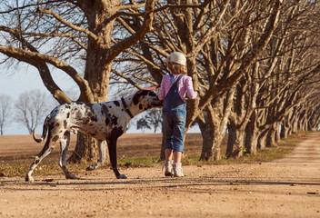 Young girl child playing walking her dog great dane