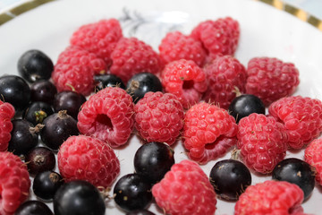 Raspberry and currants