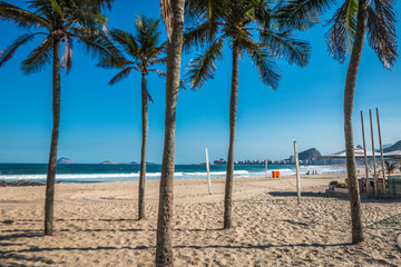 Palm trees in Copacabana beach Rio Brazil