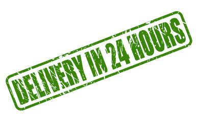 DELIVERY IN 24 HOURS on green stamp text