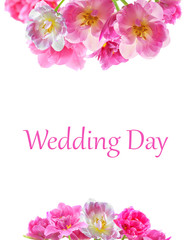 Fototapeta premium Vintage floral card. Pink tulip