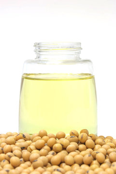 Soybean seed with oil in glass bottle setup isolated on  a white background,closeup