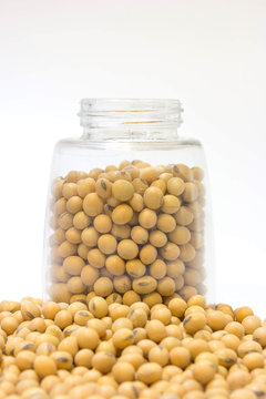 Soybean in glass bottle setup isolated on a white background.
