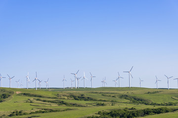 Fototapeta na wymiar 宗谷丘陵の風力発電