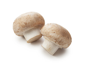 fresh champignon mushrooms isolated on white