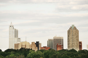 Fototapeta na wymiar Raleigh downtown skyline