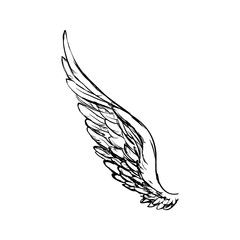 wing feather animal bird angel icon. Isolated and flat illustration. Vector graphic